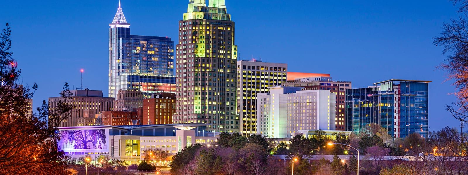 raleigh-skyline-cropped | Bunn DJ Company